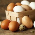 Son Derece Yanıltıcı Yumurta Endüstrisi
